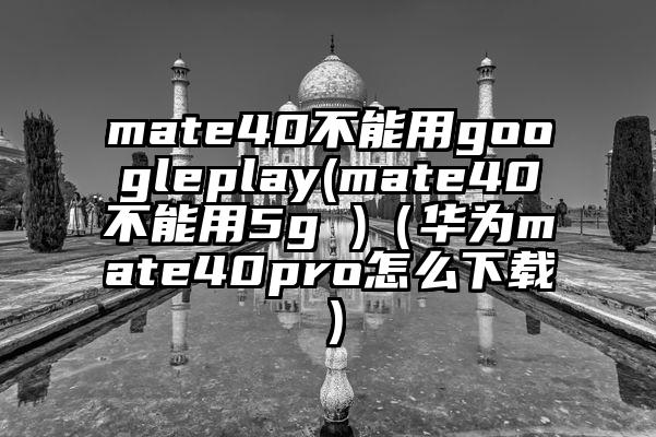 mate40不能用googleplay(mate40不能用5g )（华为mate40pro怎么下载）