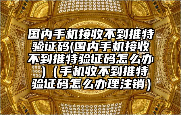 国内手机接收不到推特验证码(国内手机接收不到推特验证码怎么办 )（手机收不到推特验证码怎么办理注销）