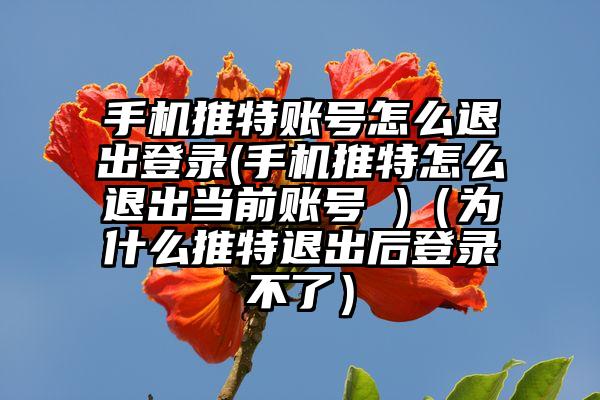 手机推特账号怎么退出登录(手机推特怎么退出当前账号 )（为什么推特退出后登录不了）