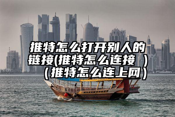 推特怎么打开别人的链接(推特怎么连接 )（推特怎么连上网）
