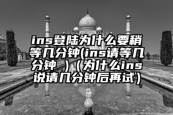 ins登陆为什么要稍等几分钟(ins请等几分钟 )（为什么ins说请几分钟后再试）