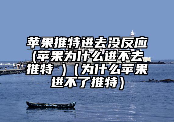 苹果推特进去没反应(苹果为什么进不去推特 )（为什么苹果进不了推特）