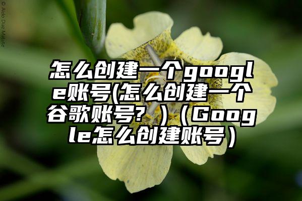 怎么创建一个google账号(怎么创建一个谷歌账号? )（Google怎么创建账号）