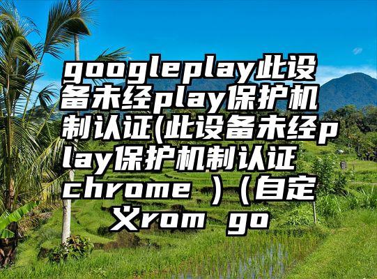 googleplay此设备未经play保护机制认证(此设备未经play保护机制认证 chrome )（自定义rom go
