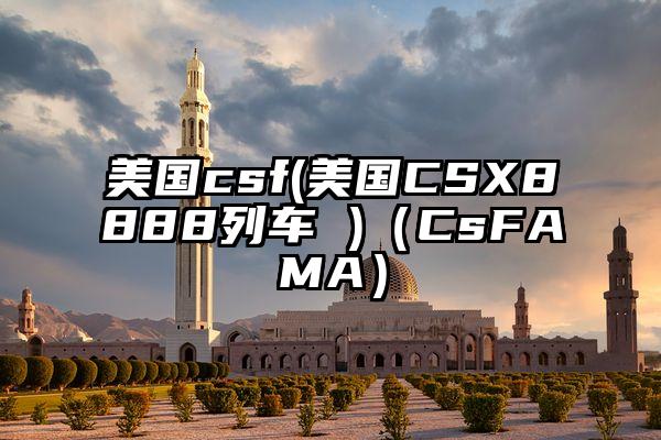 美国csf(美国CSX8888列车 )（CsFAMA）