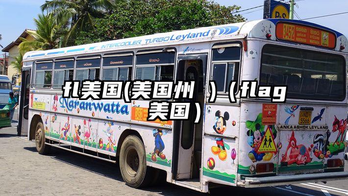 fl美国(美国州 )(flag美国)