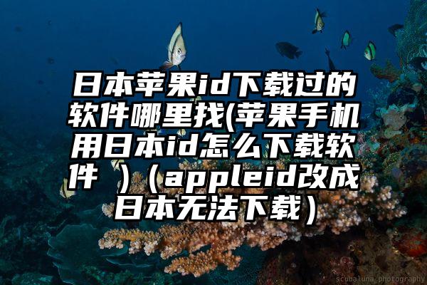 日本苹果id下载过的软件哪里找(苹果手机用日本id怎么下载软件 )（appleid改成日本无法下载）