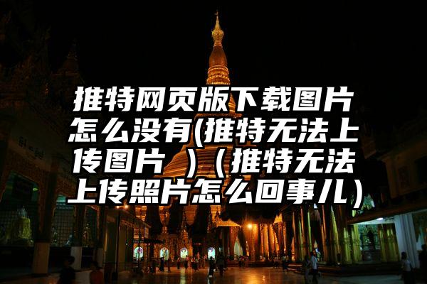 推特网页版下载图片怎么没有(推特无法上传图片 )（推特无法上传照片怎么回事儿）