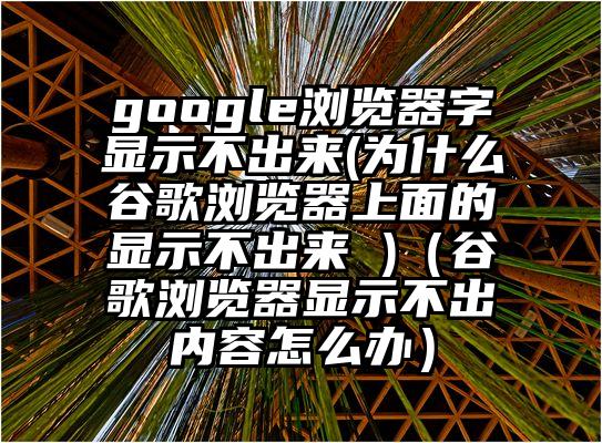 google浏览器字显示不出来(为什么谷歌浏览器上面的显示不出来 )（谷歌浏览器显示不出内容怎么办）