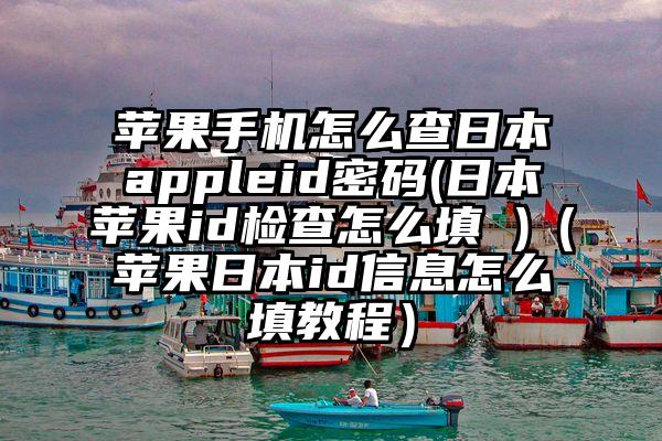 苹果手机怎么查日本appleid密码(日本苹果id检查怎么填 )（苹果日本id信息怎么填教程）
