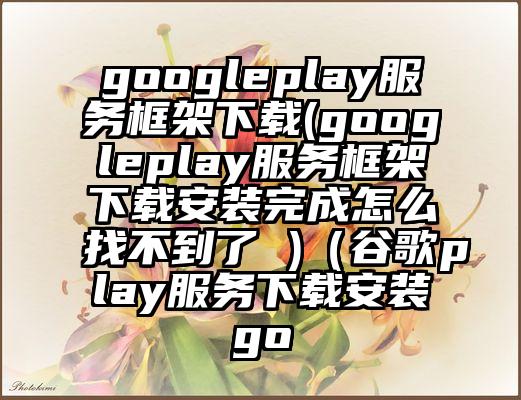 googleplay服务框架下载(googleplay服务框架下载安装完成怎么找不到了 )（谷歌play服务下载安装go