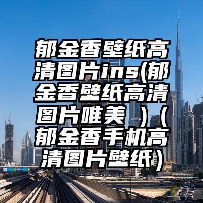 郁金香壁纸高清图片ins(郁金香壁纸高清图片唯美 )（郁金香手机高清图片壁纸）
