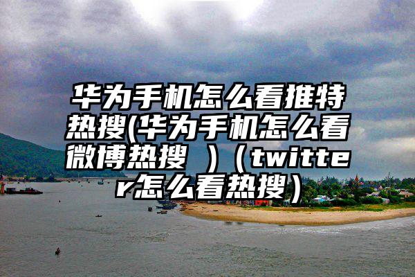 华为手机怎么看推特热搜(华为手机怎么看微博热搜 )（twitter怎么看热搜）