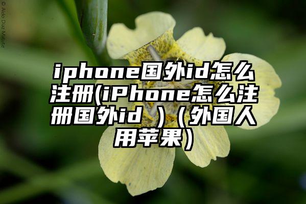iphone国外id怎么注册(iPhone怎么注册国外id )（外国人用苹果）