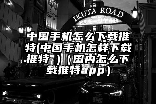 中国手机怎么下载推特(中国手机怎样下载推特 )（国内怎么下载推特app）