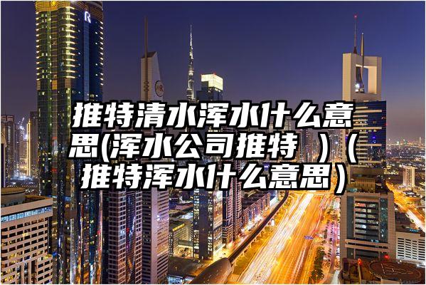 推特清水浑水什么意思(浑水公司推特 )（推特浑水什么意思）