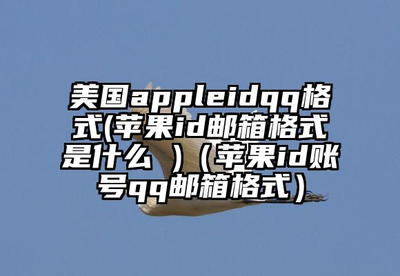 美国appleidqq格式(苹果id邮箱格式是什么 )（苹果id账号qq邮箱格式）