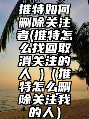 推特如何删除关注者(推特怎么找回取消关注的人 )（推特怎么删除关注我的人）