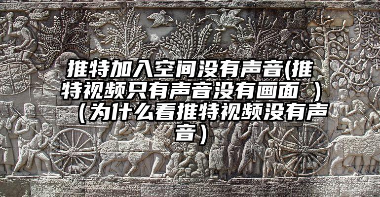 推特加入空间没有声音(推特视频只有声音没有画面 )（为什么看推特视频没有声音）