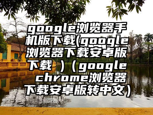 google浏览器手机版下载(google浏览器下载安卓版下载 )（google chrome浏览器下载安卓版转中文）