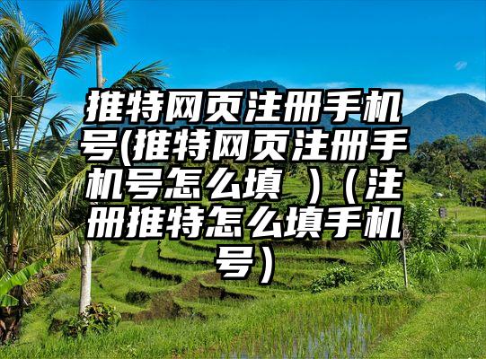 推特网页注册手机号(推特网页注册手机号怎么填 )（注册推特怎么填手机号）