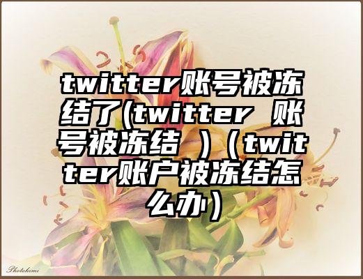 twitter账号被冻结了(twitter 账号被冻结 )（twitter账户被冻结怎么办）