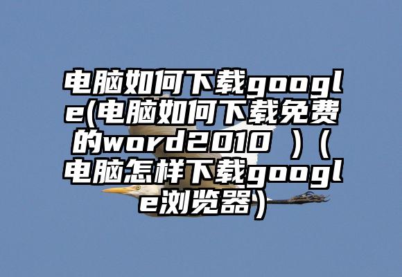 电脑如何下载google(电脑如何下载免费的word2010 )（电脑怎样下载google浏览器）