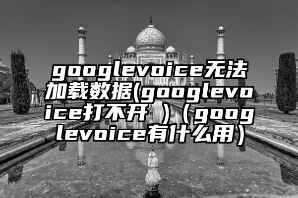 googlevoice无法加载数据(googlevoice打不开 )（googlevoice有什么用）