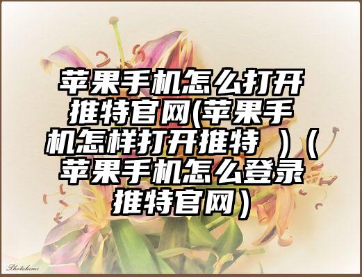 苹果手机怎么打开推特官网(苹果手机怎样打开推特 )（苹果手机怎么登录推特官网）