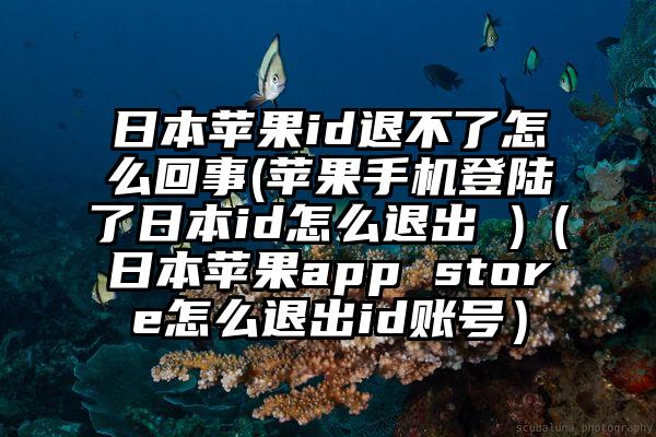 日本苹果id退不了怎么回事(苹果手机登陆了日本id怎么退出 )（日本苹果app store怎么退出id账号）