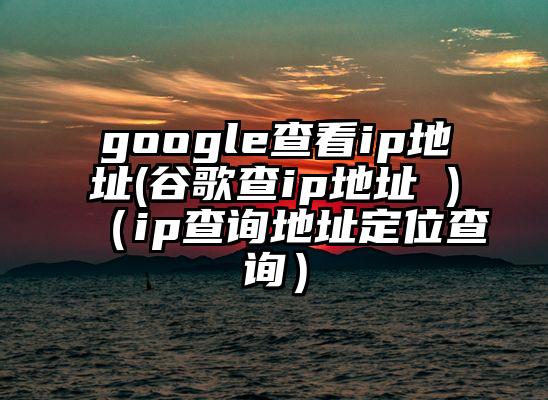 google查看ip地址(谷歌查ip地址 )（ip查询地址定位查询）