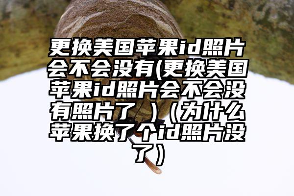 更换美国苹果id照片会不会没有(更换美国苹果id照片会不会没有照片了 )（为什么苹果换了个id照片没了）