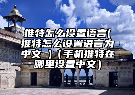 推特怎么设置语言(推特怎么设置语言为中文 )（手机推特在哪里设置中文）