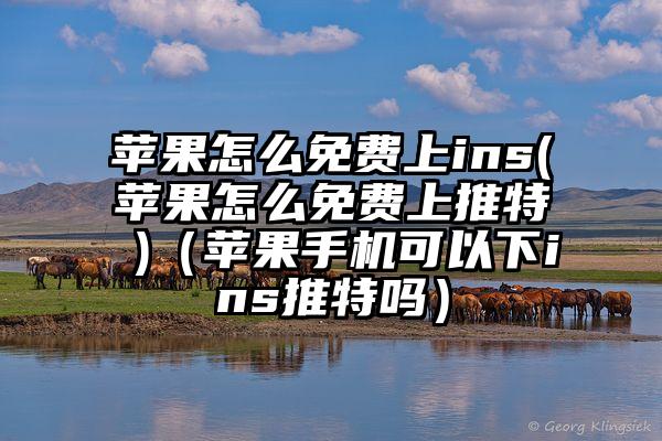 苹果怎么免费上ins(苹果怎么免费上推特 )（苹果手机可以下ins推特吗）