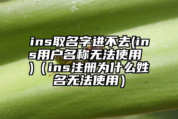 ins取名字进不去(ins用户名称无法使用 )（ins注册为什么姓名无法使用）