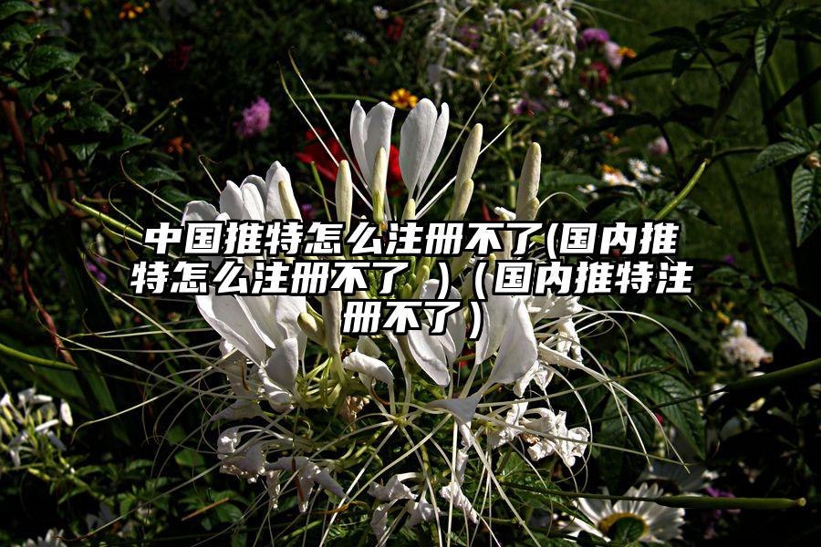 中国推特怎么注册不了(国内推特怎么注册不了 )（国内推特注册不了）
