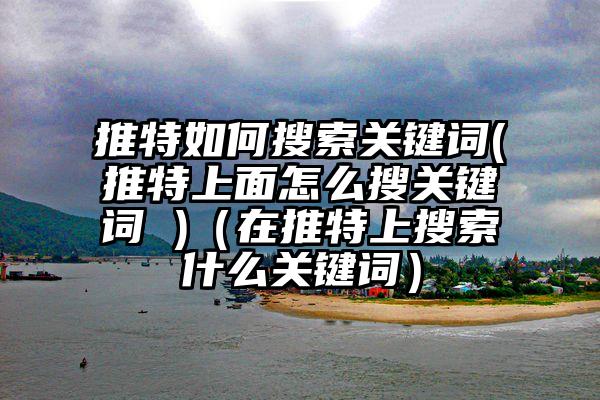 推特如何搜索关键词(推特上面怎么搜关键词 )（在推特上搜索什么关键词）