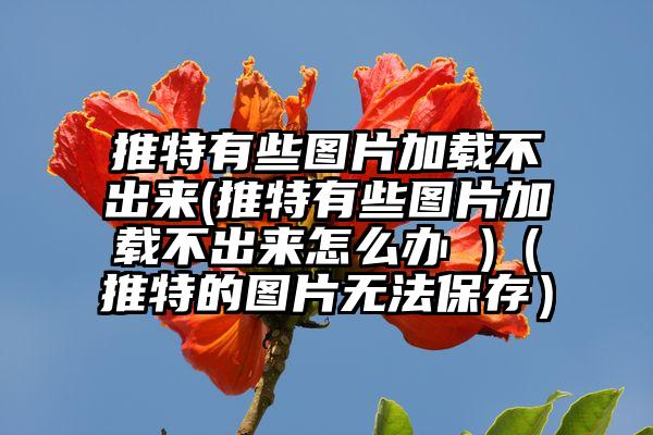 推特有些图片加载不出来(推特有些图片加载不出来怎么办 )（推特的图片无法保存）