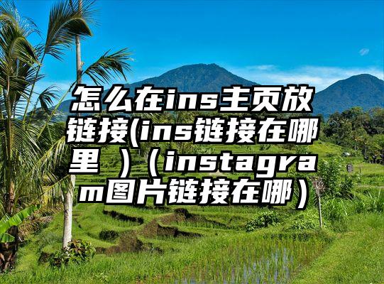 怎么在ins主页放链接(ins链接在哪里 )（instagram图片链接在哪）