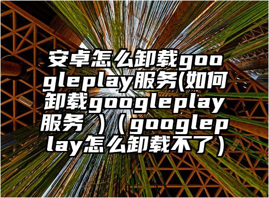 安卓怎么卸载googleplay服务(如何卸载googleplay服务 )（googleplay怎么卸载不了）