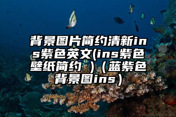 背景图片简约清新ins紫色英文(ins紫色壁纸简约 )（蓝紫色背景图ins）
