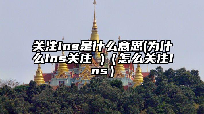 关注ins是什么意思(为什么ins关注 )（怎么关注ins）