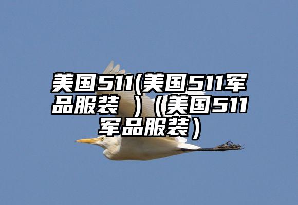 美国511(美国511军品服装 )（美国511军品服装）