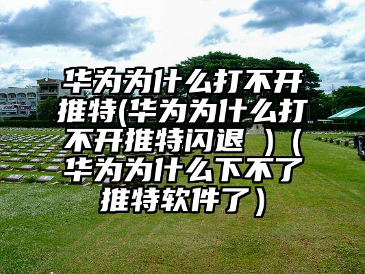 华为为什么打不开推特(华为为什么打不开推特闪退 )（华为为什么下不了推特软件了）