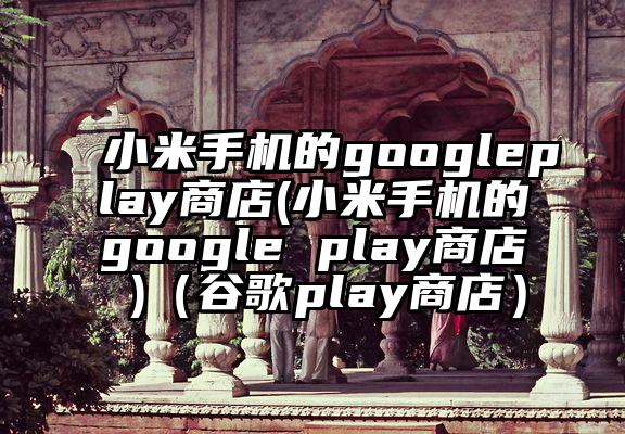 小米手机的googleplay商店(小米手机的google play商店 )（谷歌play商店）