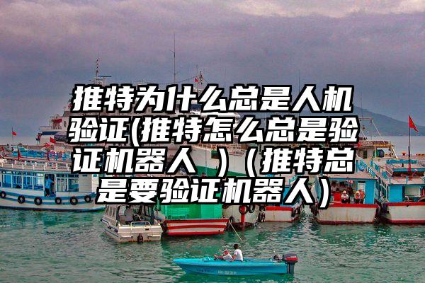 推特为什么总是人机验证(推特怎么总是验证机器人 )（推特总是要验证机器人）