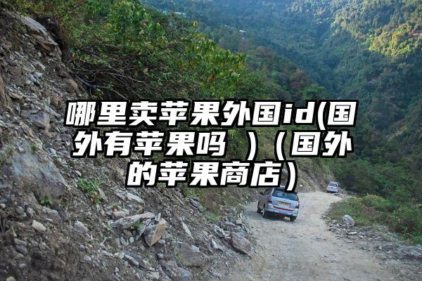 哪里卖苹果外国id(国外有苹果吗 )（国外的苹果商店）