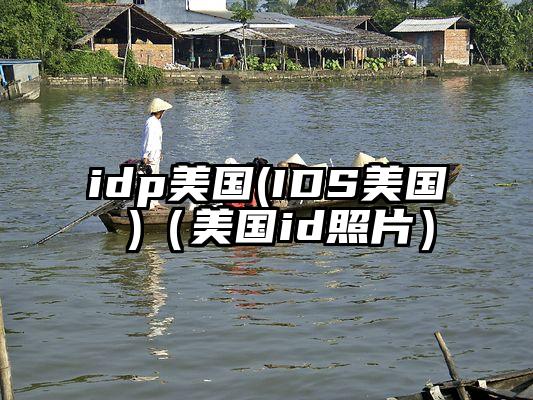 idp美国(IDS美国 )（美国id照片）