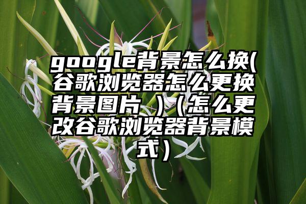 google背景怎么换(谷歌浏览器怎么更换背景图片 )（怎么更改谷歌浏览器背景模式）