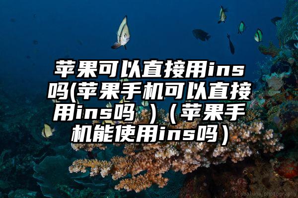 苹果可以直接用ins吗(苹果手机可以直接用ins吗 )（苹果手机能使用ins吗）